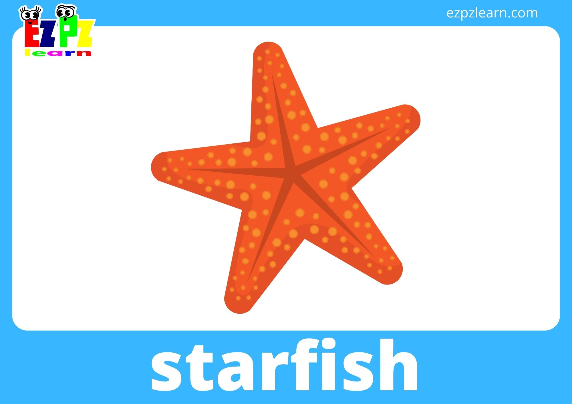 starfish